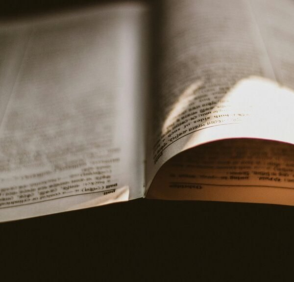 insight reference capsule numbers