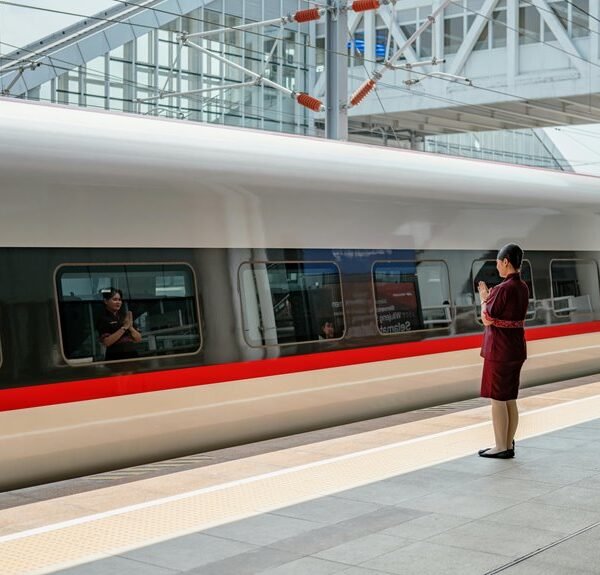 efficient online platform development