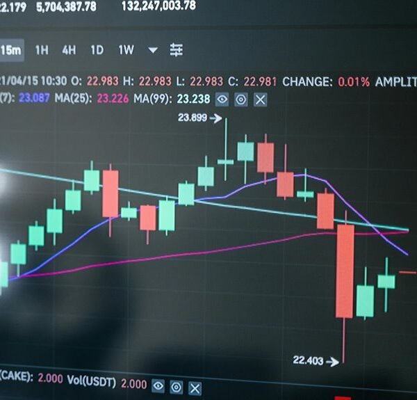 grow your digital platform