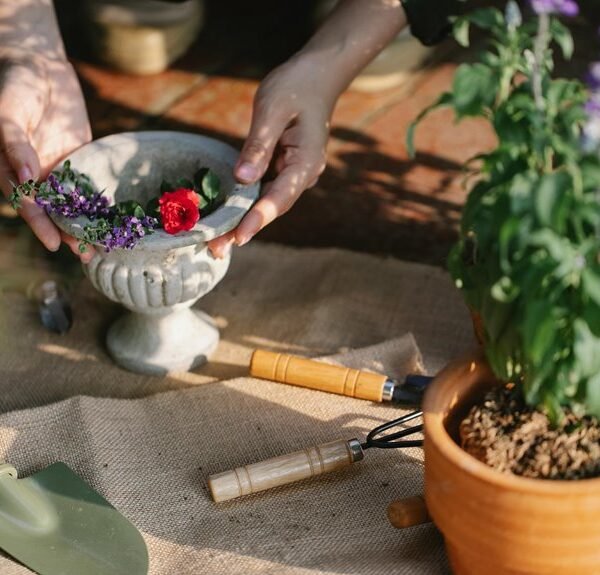 optimize growth with digital tools